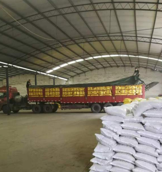 �۱�ϩ����